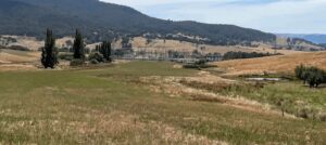 Trina submits approval for Victoria big battery, as locals campaign against solar and storage projects